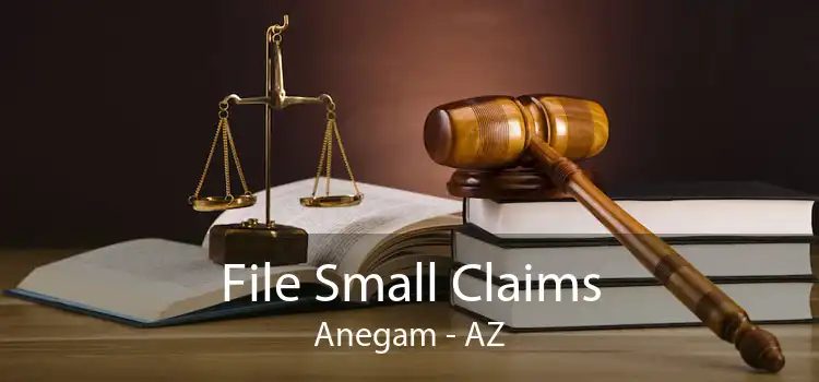 File Small Claims Anegam - AZ