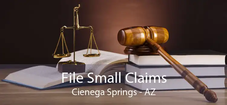 File Small Claims Cienega Springs - AZ