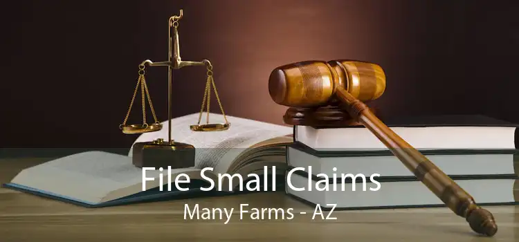 File Small Claims Many Farms - AZ