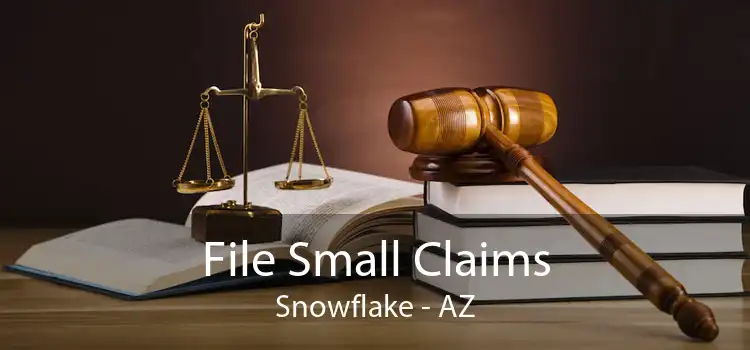 File Small Claims Snowflake - AZ