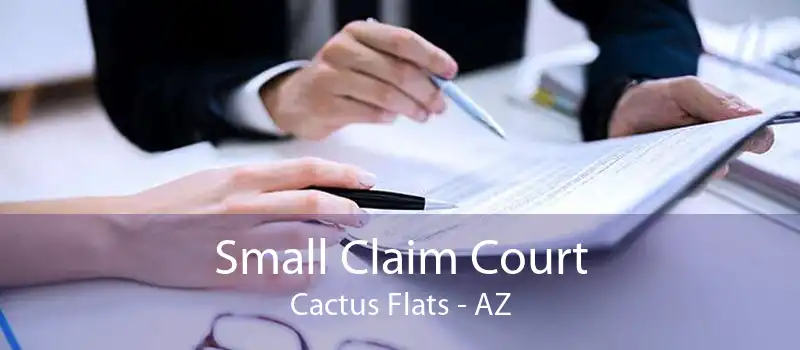 Small Claim Court Cactus Flats - AZ