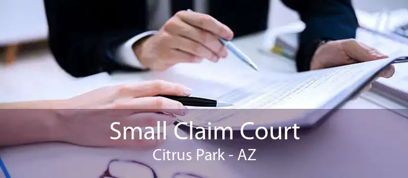 Small Claim Court Citrus Park - AZ