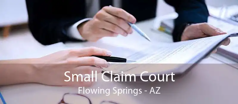 Small Claim Court Flowing Springs - AZ
