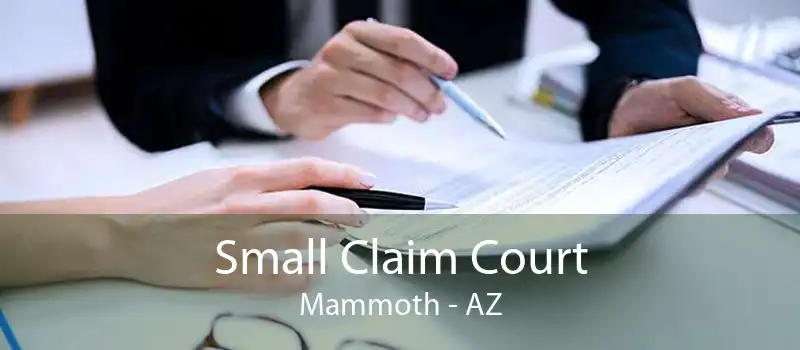 Small Claim Court Mammoth - AZ