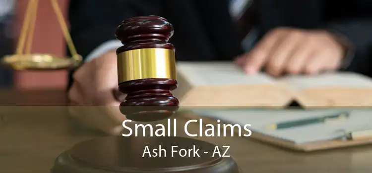 Small Claims Ash Fork - AZ