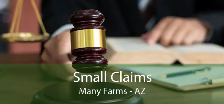 Small Claims Many Farms - AZ