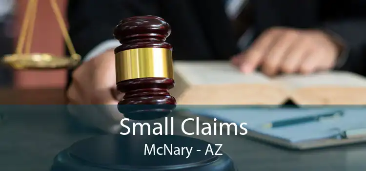 Small Claims McNary - AZ