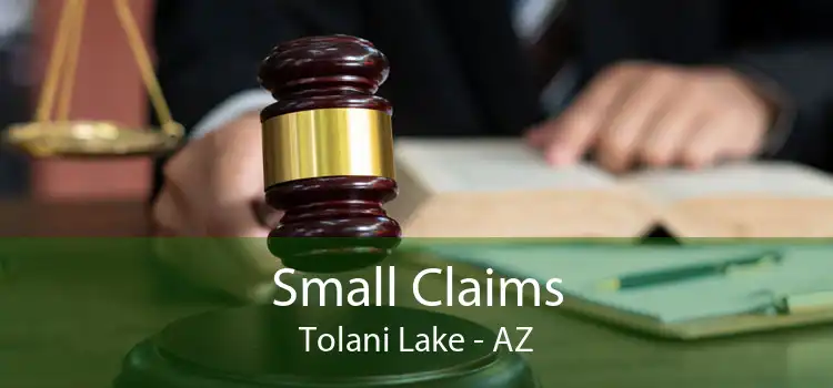 Small Claims Tolani Lake - AZ